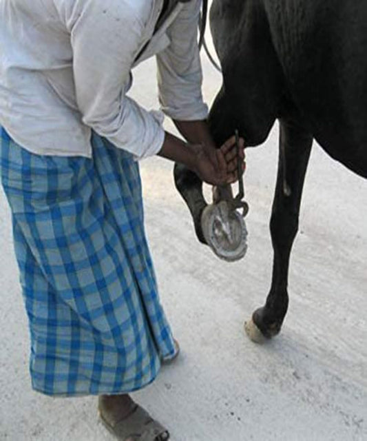 MJ STORE Iron Horseshoe Wall Hanging – Shani Dosh Protection Charm