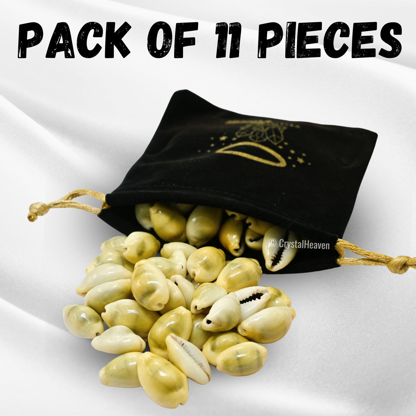 Kodi Cowrie Shells (Pack of 100) – For Wealth, Vastu & Traditional Remedies