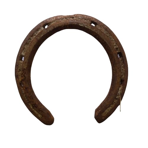 MJ STORE Iron Horseshoe Wall Hanging – Shani Dosh Protection Charm
