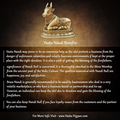 TREEMAISON Brass Nandi Idol – Vastu Remedy for Home & Office