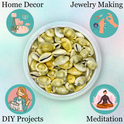 Kodi Cowrie Shells (Pack of 100) – For Wealth, Vastu & Traditional Remedies